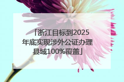 浙江目标到2025年底实现涉外公证办理县域100%覆盖