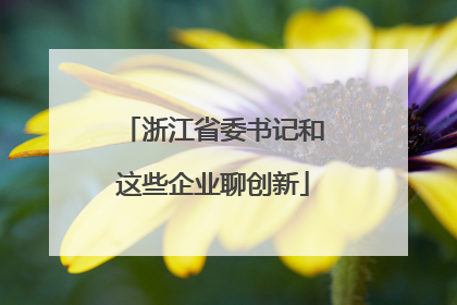 浙江省委书记和这些企业聊创新