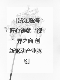 浙江临海：匠心铸就“视”界之窗 创新驱动产业腾飞