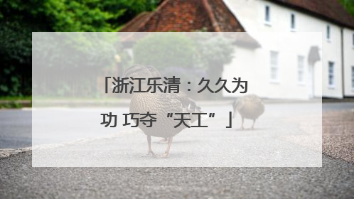 浙江乐清：久久为功 巧夺“天工”