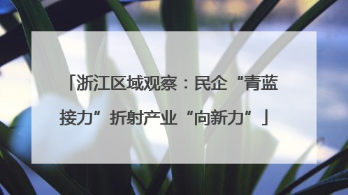 浙江区域观察：民企“青蓝接力”折射产业“向新力”