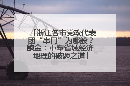 浙江各市党政代表团“串门”为哪般？鲍金：重塑省域经济地理的破题之道