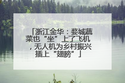 浙江金华：婺城蔬菜也“坐”上了飞机，无人机为乡村振兴插上“翅膀”