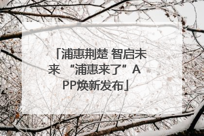 浦惠荆楚 智启未来 “浦惠来了”APP焕新发布