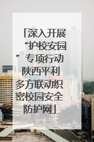 深入开展“护校安园”专项行动 陕西平利多方联动织密校园安全防护网