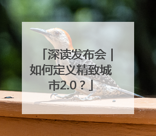 深读发布会｜如何定义精致城市2.0？