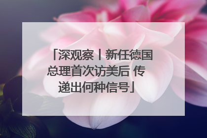 深观察丨新任德国总理首次访美后 传递出何种信号