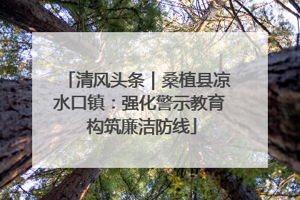 清风头条｜桑植县凉水口镇：强化警示教育 构筑廉洁防线