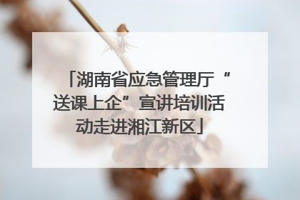 湖南省应急管理厅“送课上企”宣讲培训活动走进湘江新区