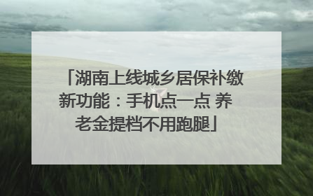 湖南上线城乡居保补缴新功能：手机点一点 养老金提档不用跑腿