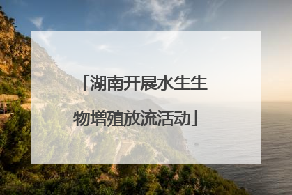 湖南开展水生生物增殖放流活动