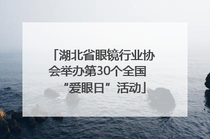 湖北省眼镜行业协会举办第30个全国“爱眼日”活动