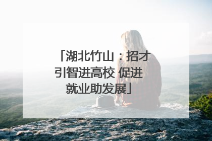 湖北竹山：招才引智进高校 促进就业助发展