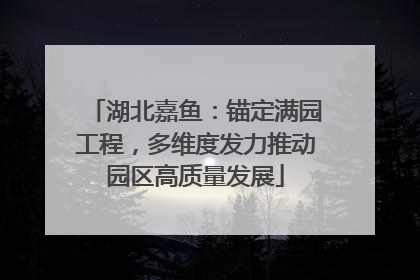 湖北嘉鱼：锚定满园工程，多维度发力推动园区高质量发展