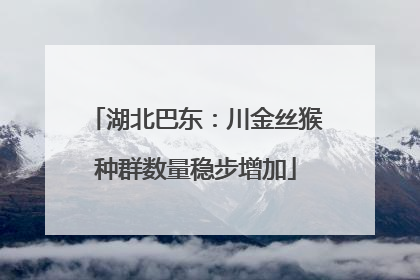 湖北巴东：川金丝猴种群数量稳步增加