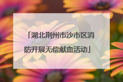 湖北荆州市沙市区消防开展无偿献血活动