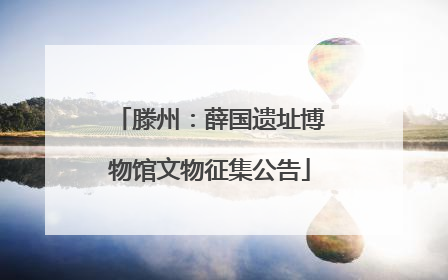 滕州：薛国遗址博物馆文物征集公告
