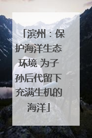 滨州：保护海洋生态环境 为子孙后代留下充满生机的海洋