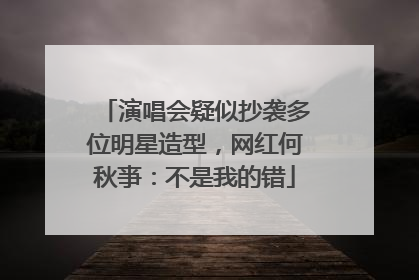 演唱会疑似抄袭多位明星造型，网红何秋亊：不是我的错