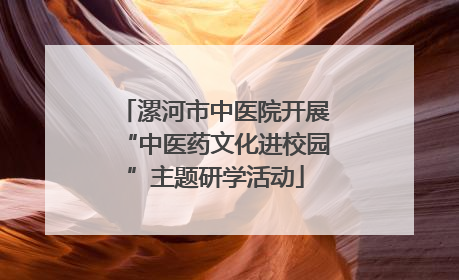 漯河市中医院开展“中医药文化进校园”主题研学活动