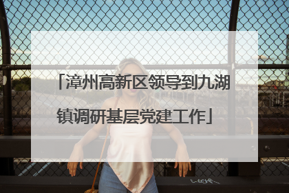 漳州高新区领导到九湖镇调研基层党建工作