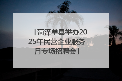 菏泽单县举办2025年民营企业服务月专场招聘会