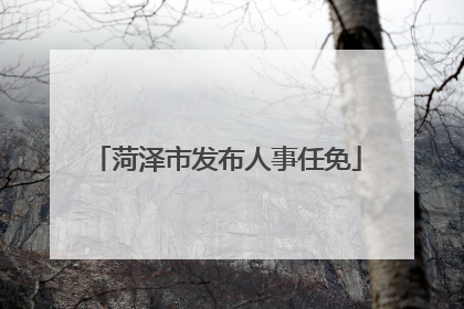 菏泽市发布人事任免