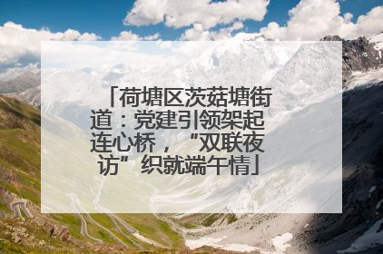 荷塘区茨菇塘街道：党建引领架起连心桥，“双联夜访”织就端午情