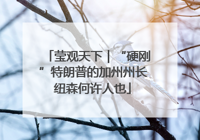 莹观天下｜“硬刚”特朗普的加州州长纽森何许人也