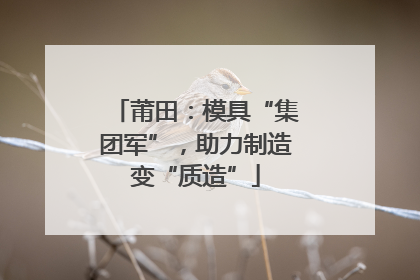 莆田：模具“集团军”，助力制造变“质造”