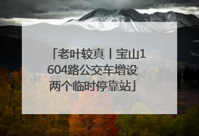 老叶较真丨宝山1604路公交车增设两个临时停靠站
