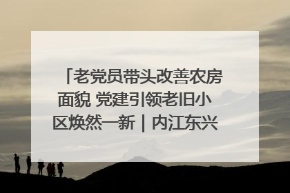 老党员带头改善农房面貌 党建引领老旧小区焕然一新｜内江东兴“红”在哪？④