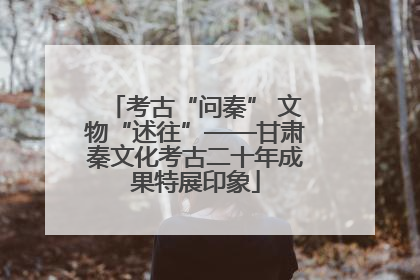 考古“问秦” 文物“述往”——甘肃秦文化考古二十年成果特展印象