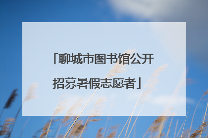 聊城市图书馆公开招募暑假志愿者