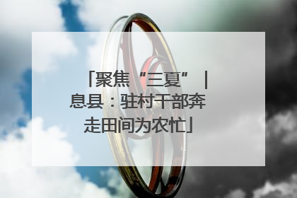 聚焦“三夏”｜息县：驻村干部奔走田间为农忙