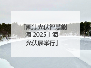 聚焦光伏智慧能源 2025上海光伏展举行