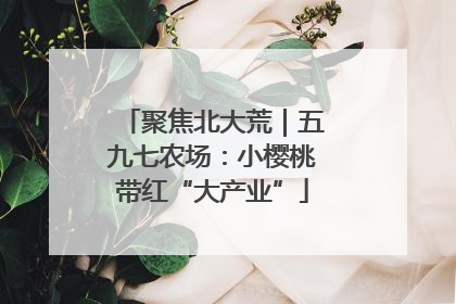 聚焦北大荒｜五九七农场：小樱桃带红“大产业”