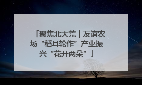 聚焦北大荒｜友谊农场“稻耳轮作”产业振兴“花开两朵”