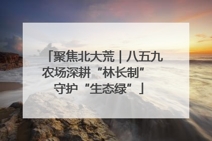 聚焦北大荒｜八五九农场深耕“林长制” 守护“生态绿”