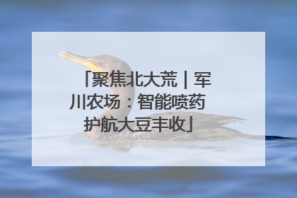 聚焦北大荒｜军川农场：智能喷药护航大豆丰收