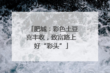 肥城：彩色土豆喜丰收，致富路上好“彩头”
