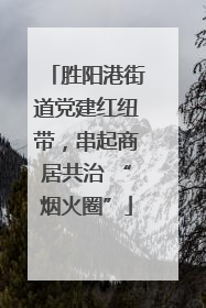 胜阳港街道党建红纽带，串起商居共治 “烟火圈”