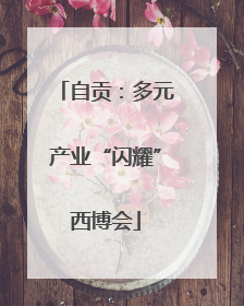 自贡：多元产业“闪耀”西博会