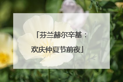 芬兰赫尔辛基：欢庆仲夏节前夜