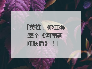 英雄，你值得一整个《河南新闻联播》！