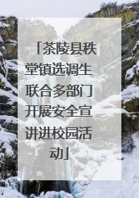 茶陵县秩堂镇选调生联合多部门开展安全宣讲进校园活动