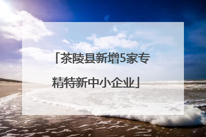 茶陵县新增5家专精特新中小企业