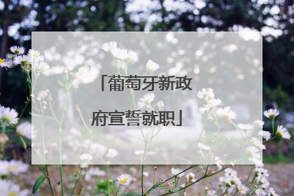 葡萄牙新政府宣誓就职