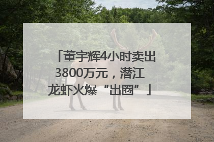 董宇辉4小时卖出3800万元，潜江龙虾火爆“出圈”