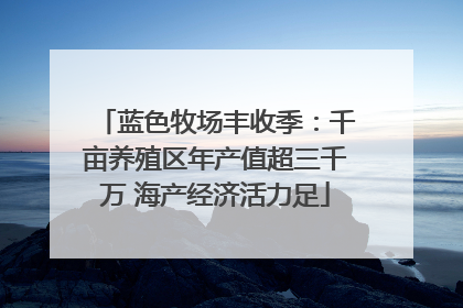 蓝色牧场丰收季：千亩养殖区年产值超三千万 海产经济活力足